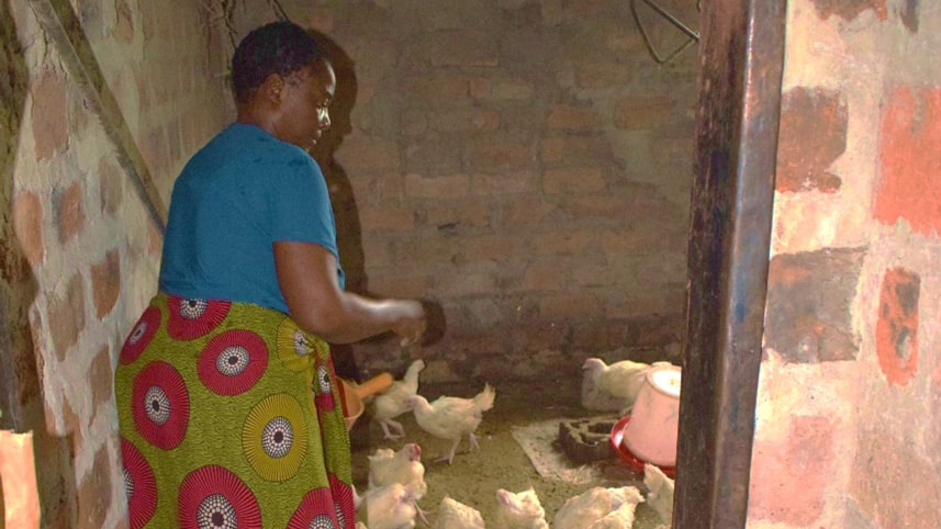 Savings Group Member Extends House and Boosts Chicken Rearing Business